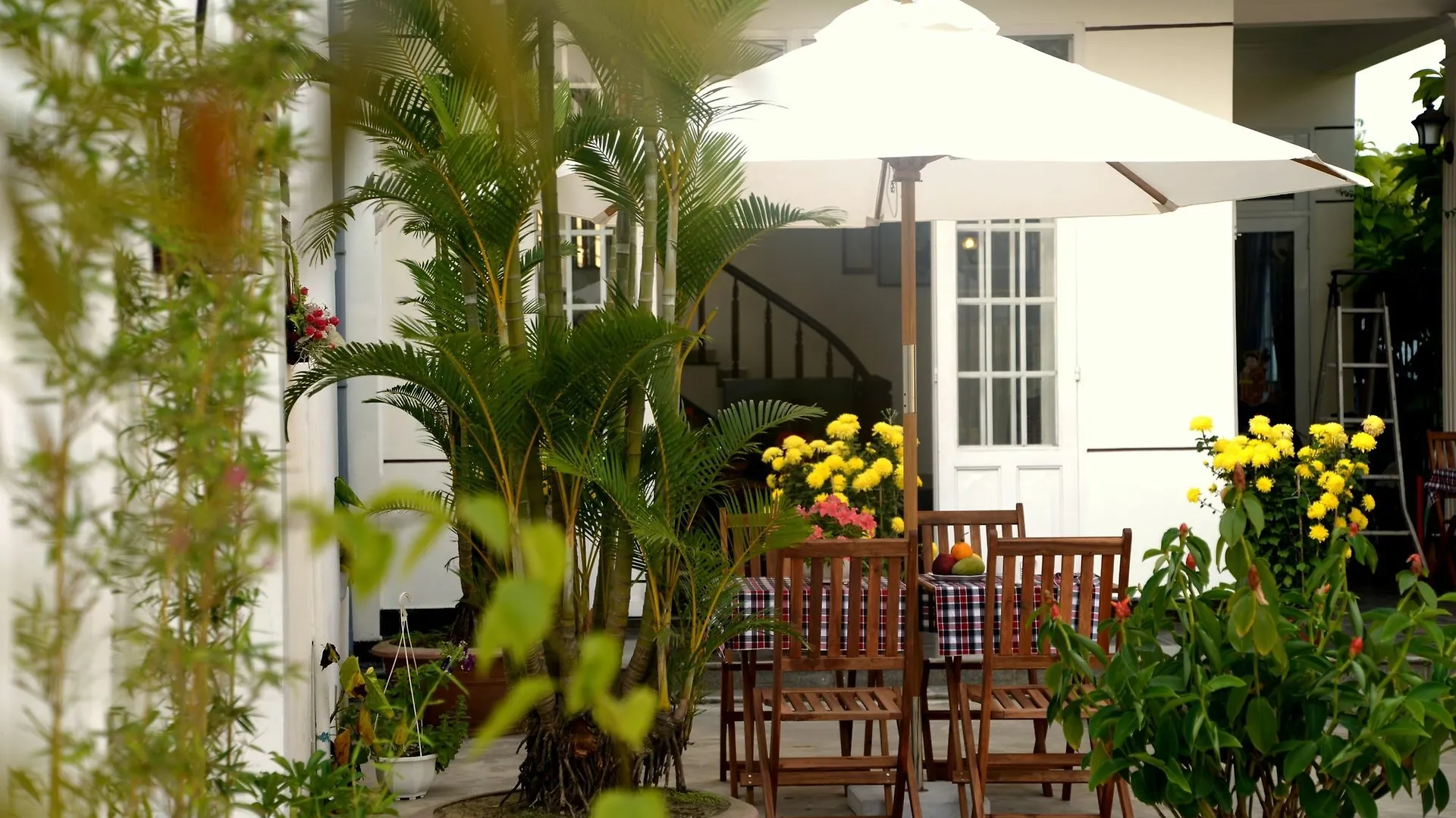 ** מלון הוי אן Hoa Thien Homestay וייטנאם